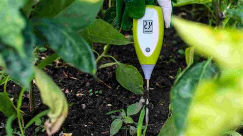 custom plant watering guide moisture meter|how accurate are moisture meter readings.